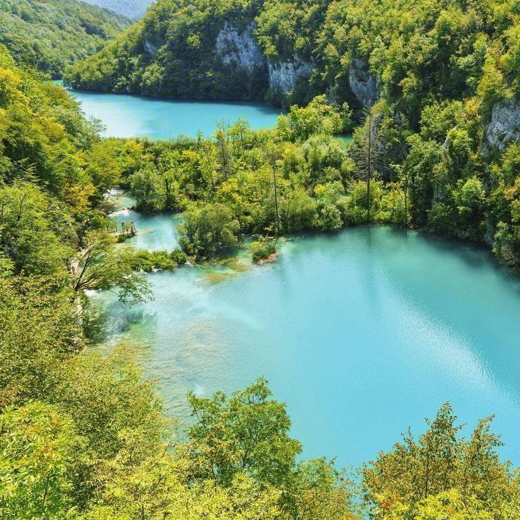 Stunning aerial view of the turquoise lakes surrounded by lush forests in Plitvice Lakes National Park, Croatia.