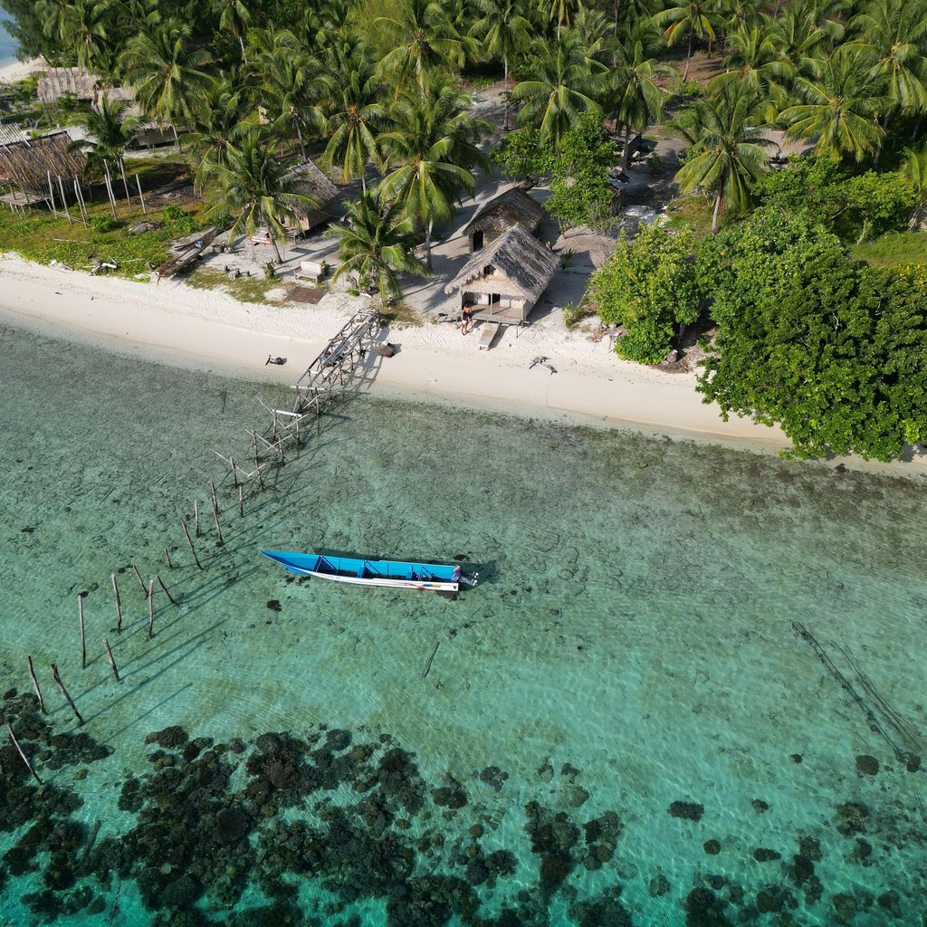 Stunning aerial shot of a tropical beach with boat and palm trees in West Papua, Indonesia.