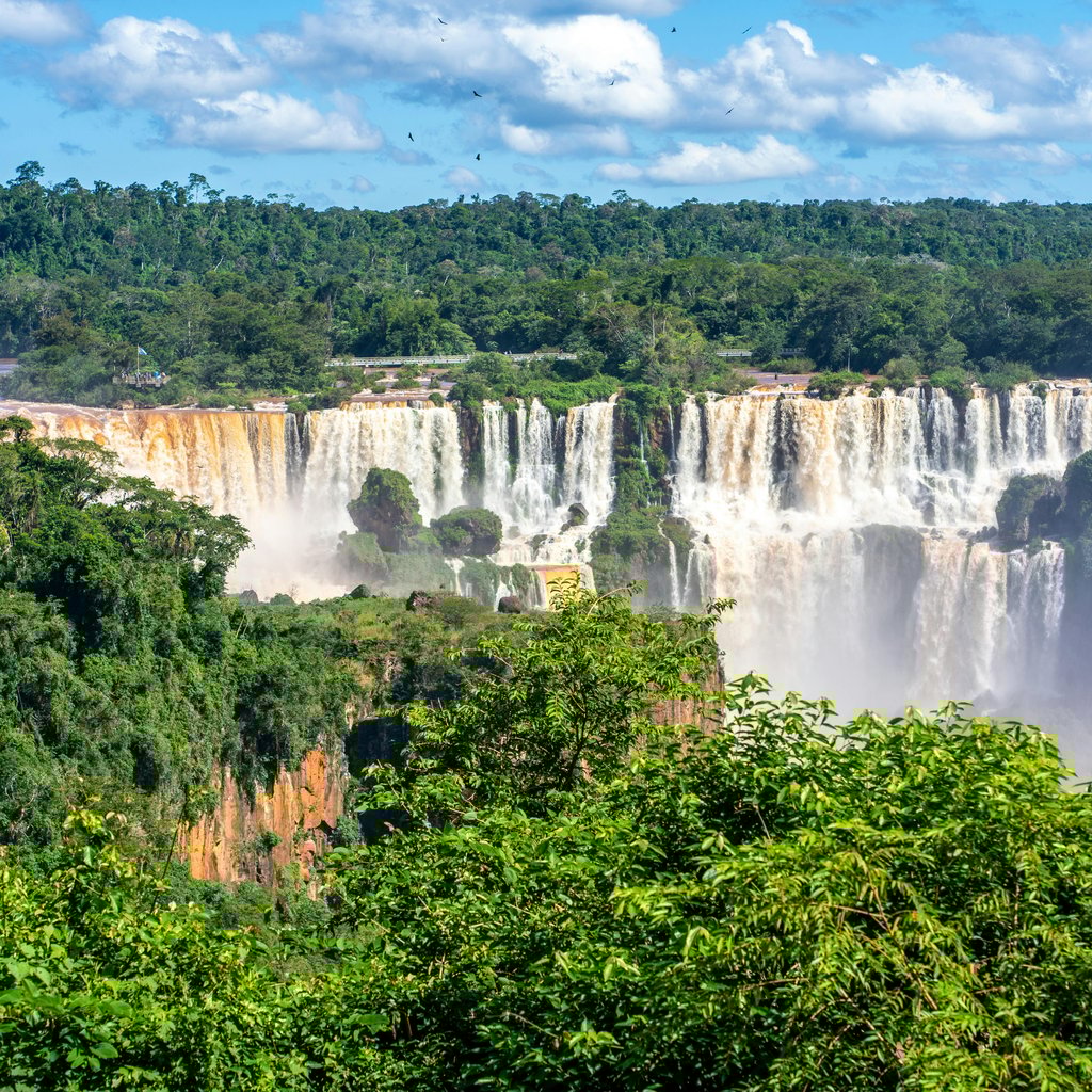 Stunning view of Iguazu Falls cascading through lush greenery, a must-see natural wonder in Argentina.