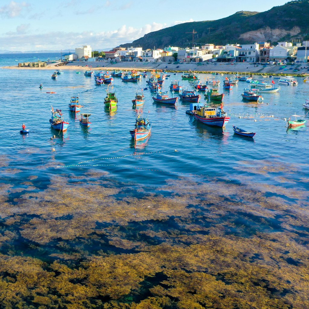 Aerial view of vibrant fishing boats in the serene waters of Quy Nhon, Vietnam.