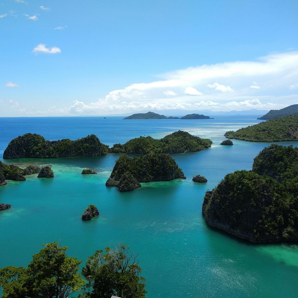 Explore the breathtaking beauty of Piaynemo's islands in Raja Ampat, West Papua, Indonesia.