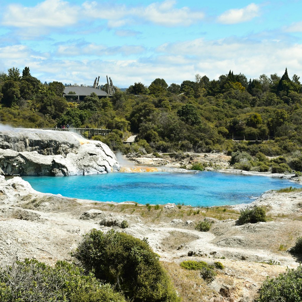 Explore the striking geothermal landscape and azure lake in Rotorua's unique natural setting.