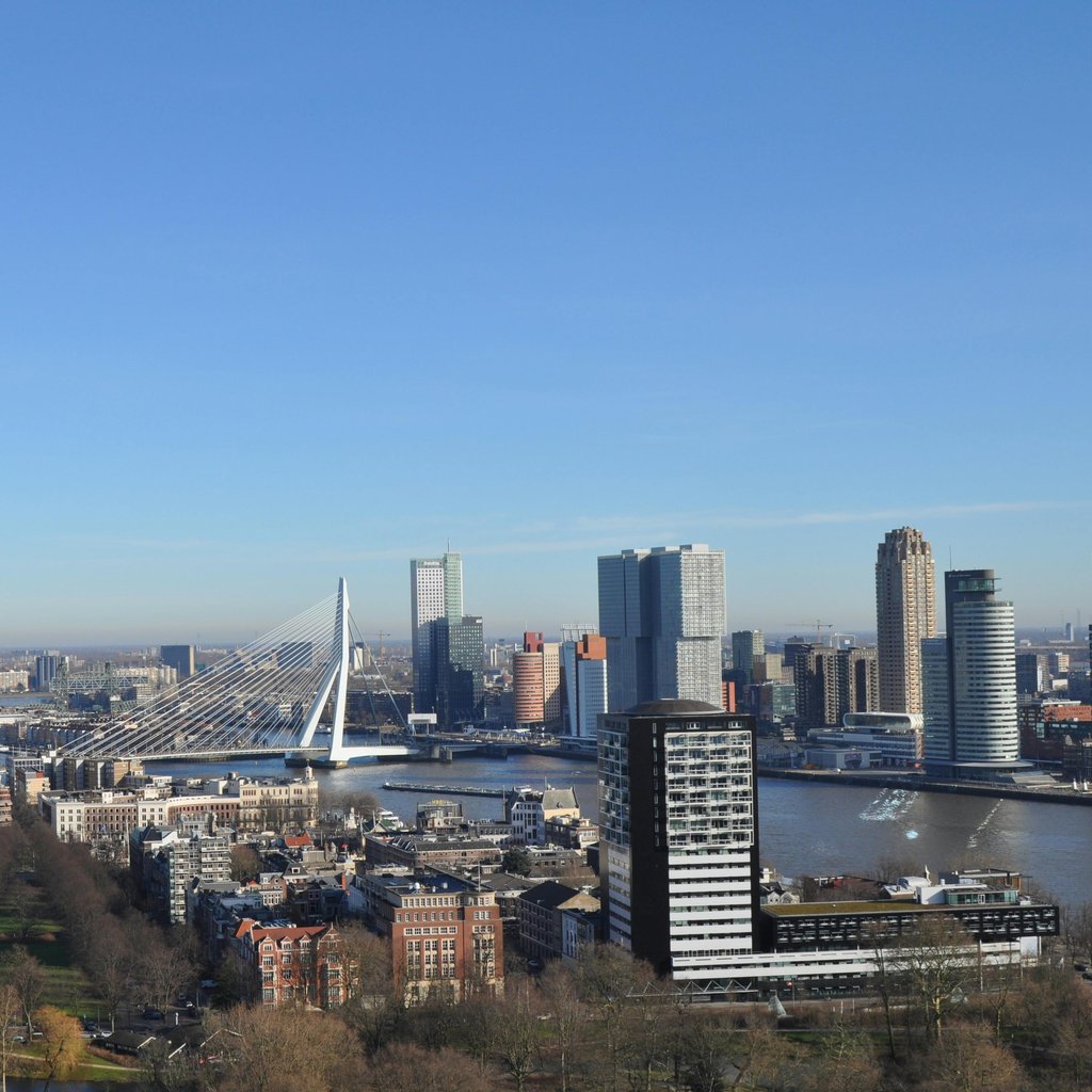 Breathtaking aerial view of Rotterdam cityscape featuring the iconic Erasmus Bridge under a clear blue sky.