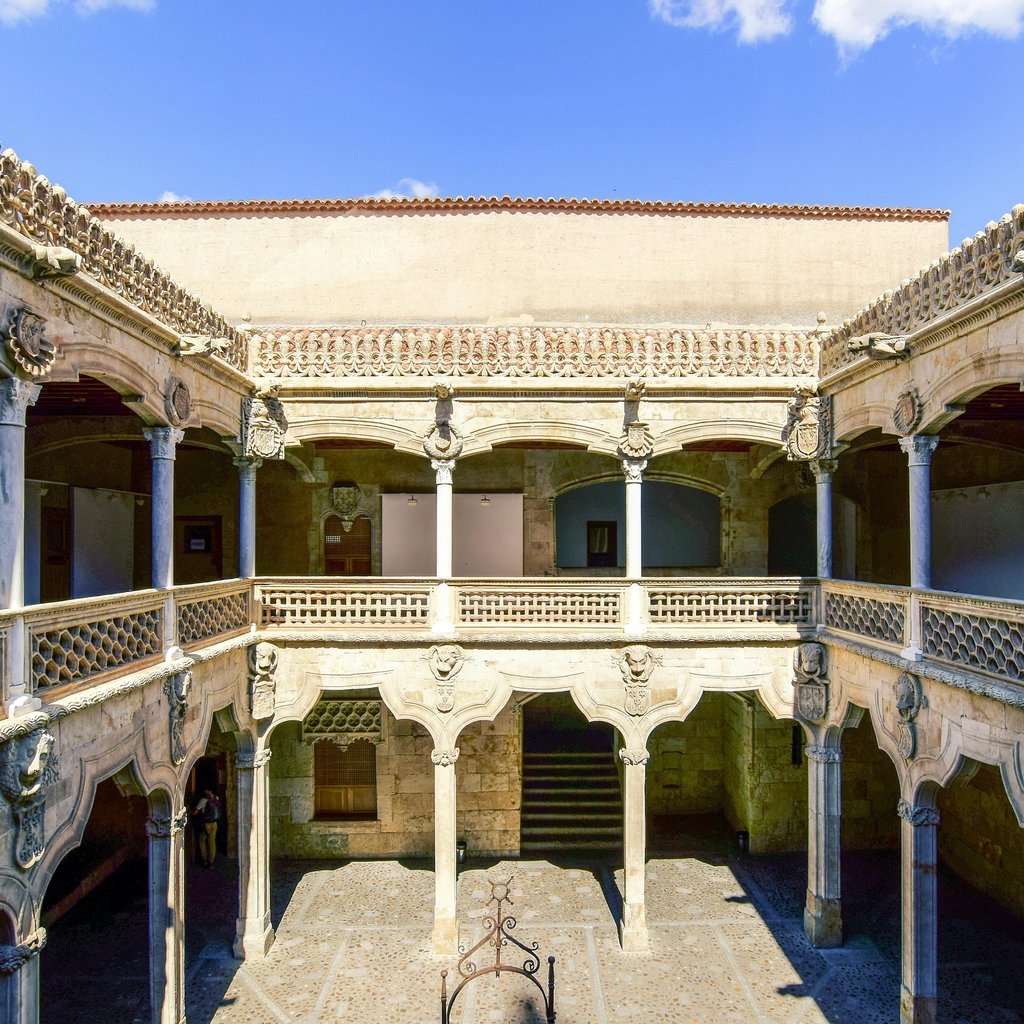 Intricate Gothic architecture of a historic courtyard in Salamanca, Spain.