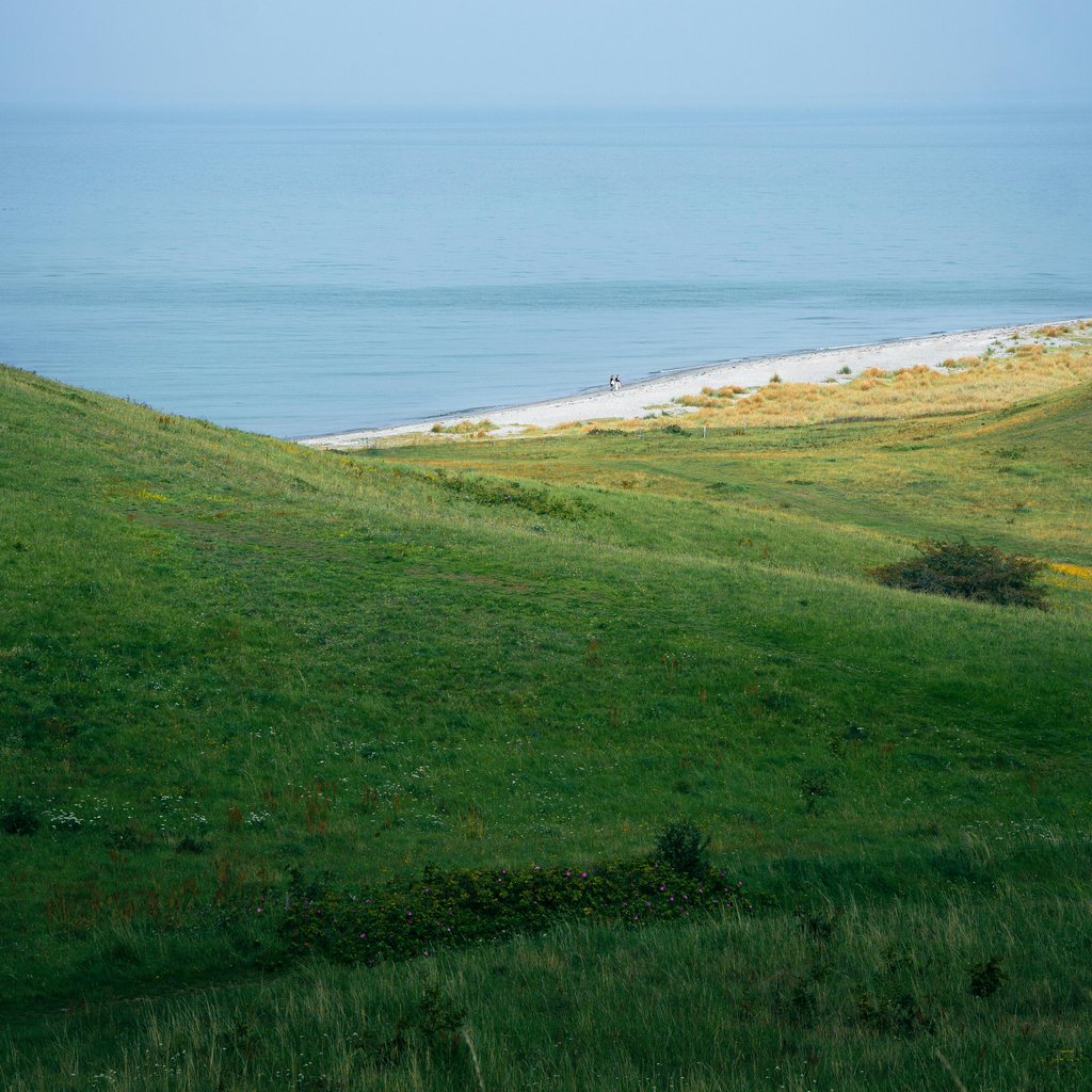 Peaceful view of grassy hills meeting the sea in Samsø, Denmark.