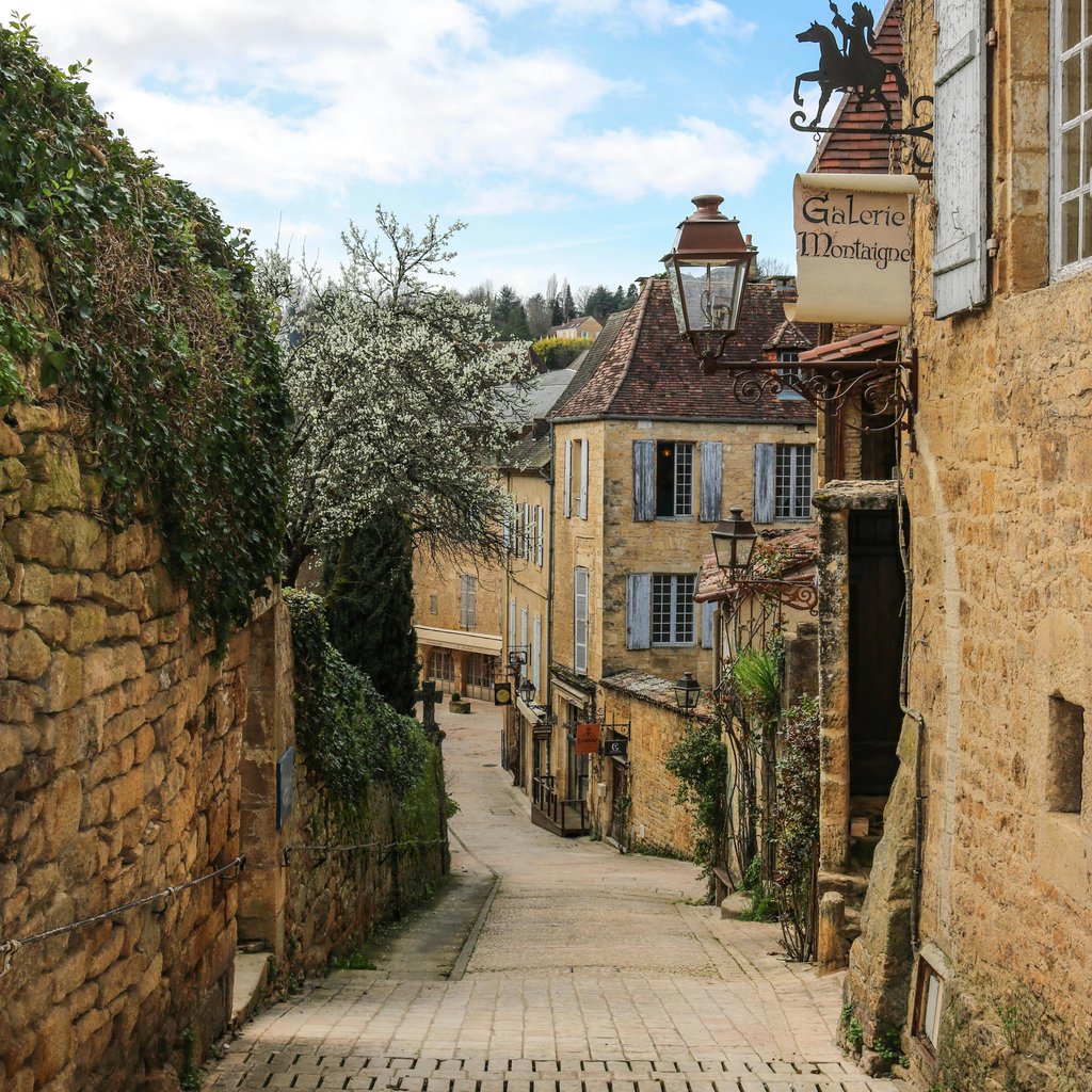 Explore the picturesque medieval architecture of Sarlat-la-Canéda's charming streets in Nouvelle-Aquitaine, France.