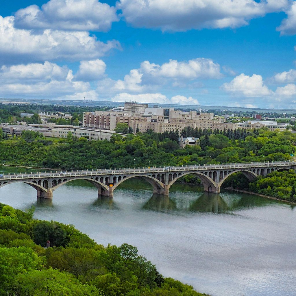 Aerial view of University Bridge in Saskatoon, surrounded by lush greenery.