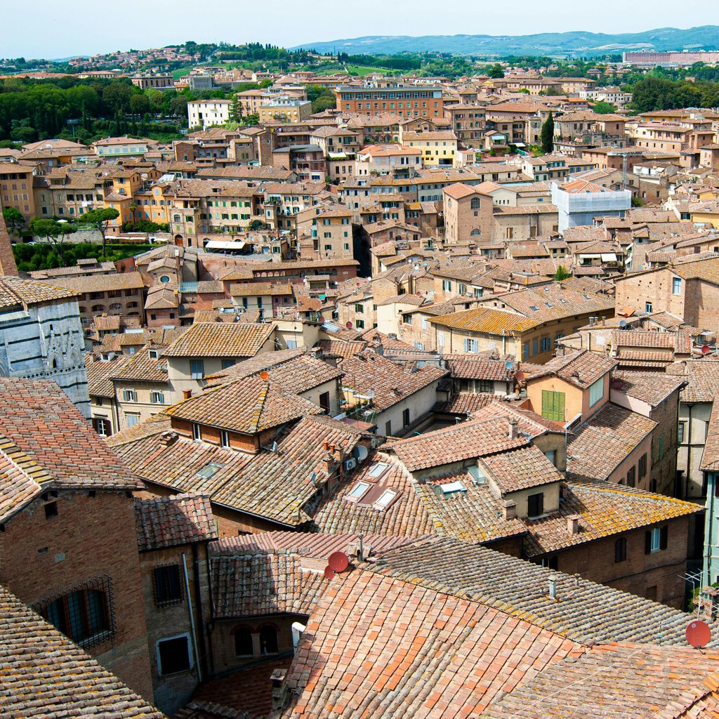 Charming aerial view of Siena's historic rooftops under the summer sun in Tuscany, Italy.