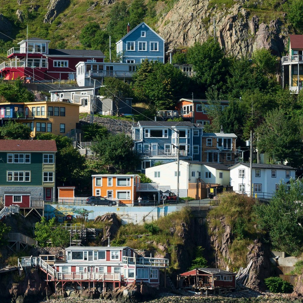 Vibrant houses perched on cliffs in St. John's, showcasing unique architecture and coastal charm.