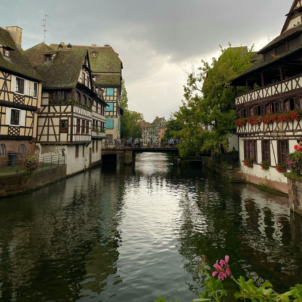 Scenic view of Strasbourg's half-timbered houses along the River Ill.