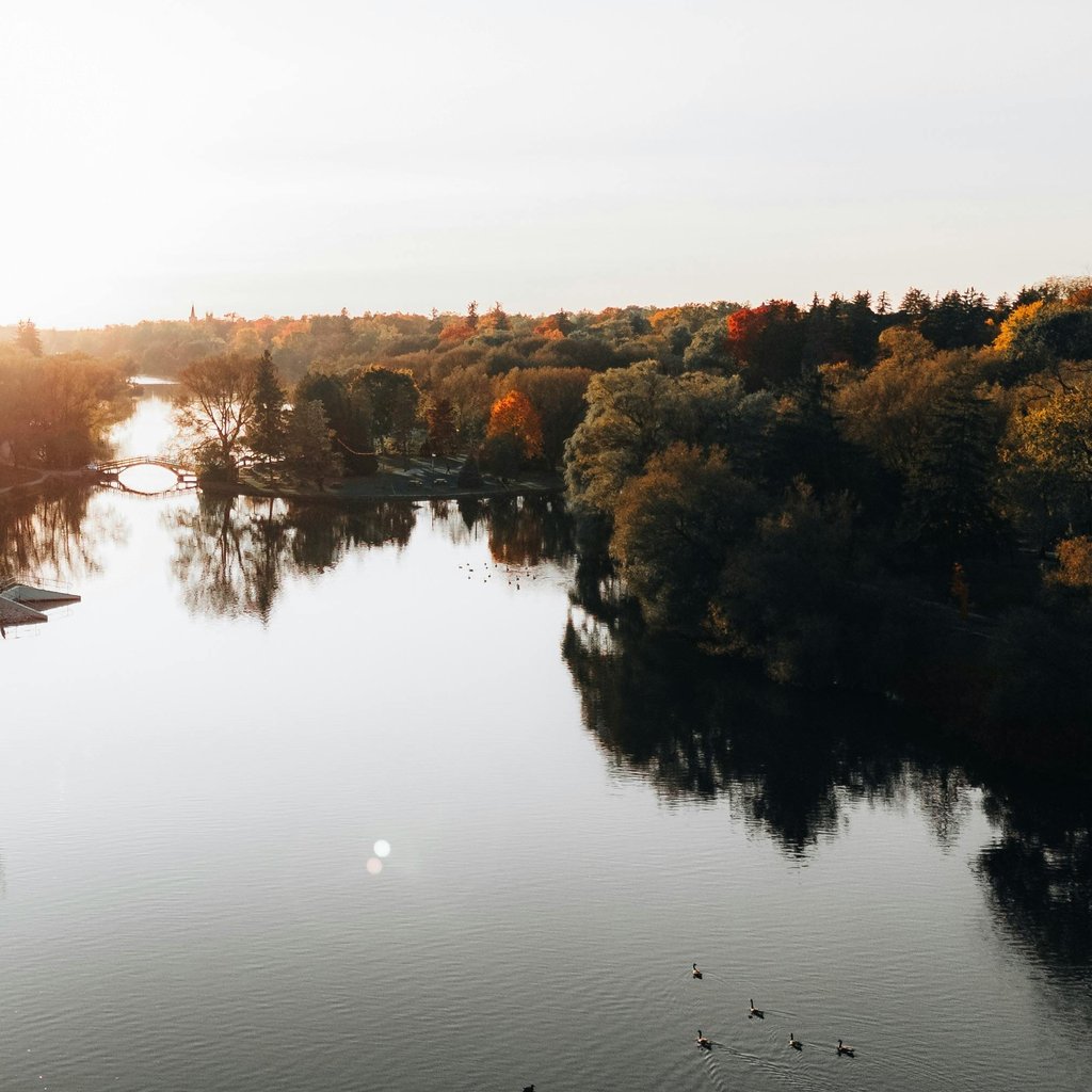 Stunning aerial view of fall colors in Stratford, Ontario, showcasing a serene river and lush foliage.