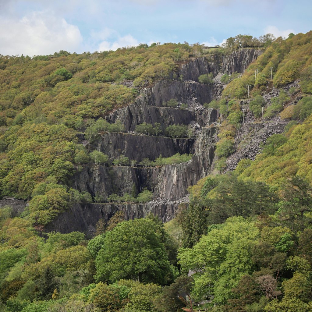 A breathtaking view of a lush forest and rocky hillside under a blue sky, showcasing nature's beauty.