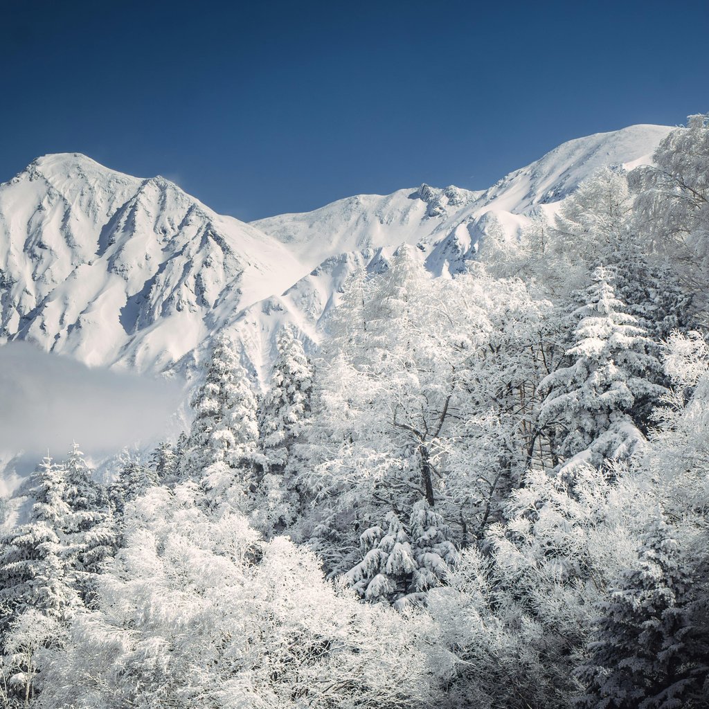 Breathtaking view of snowy mountains and forests in Takayama, Japan.