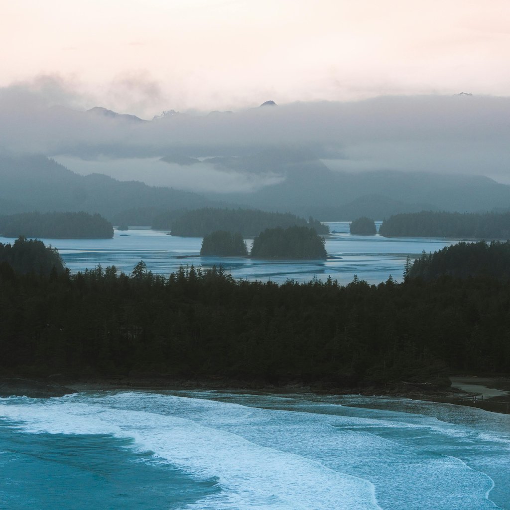 Serene aerial photo capturing the misty Tofino coastline at dawn with waves gently hitting the shore.