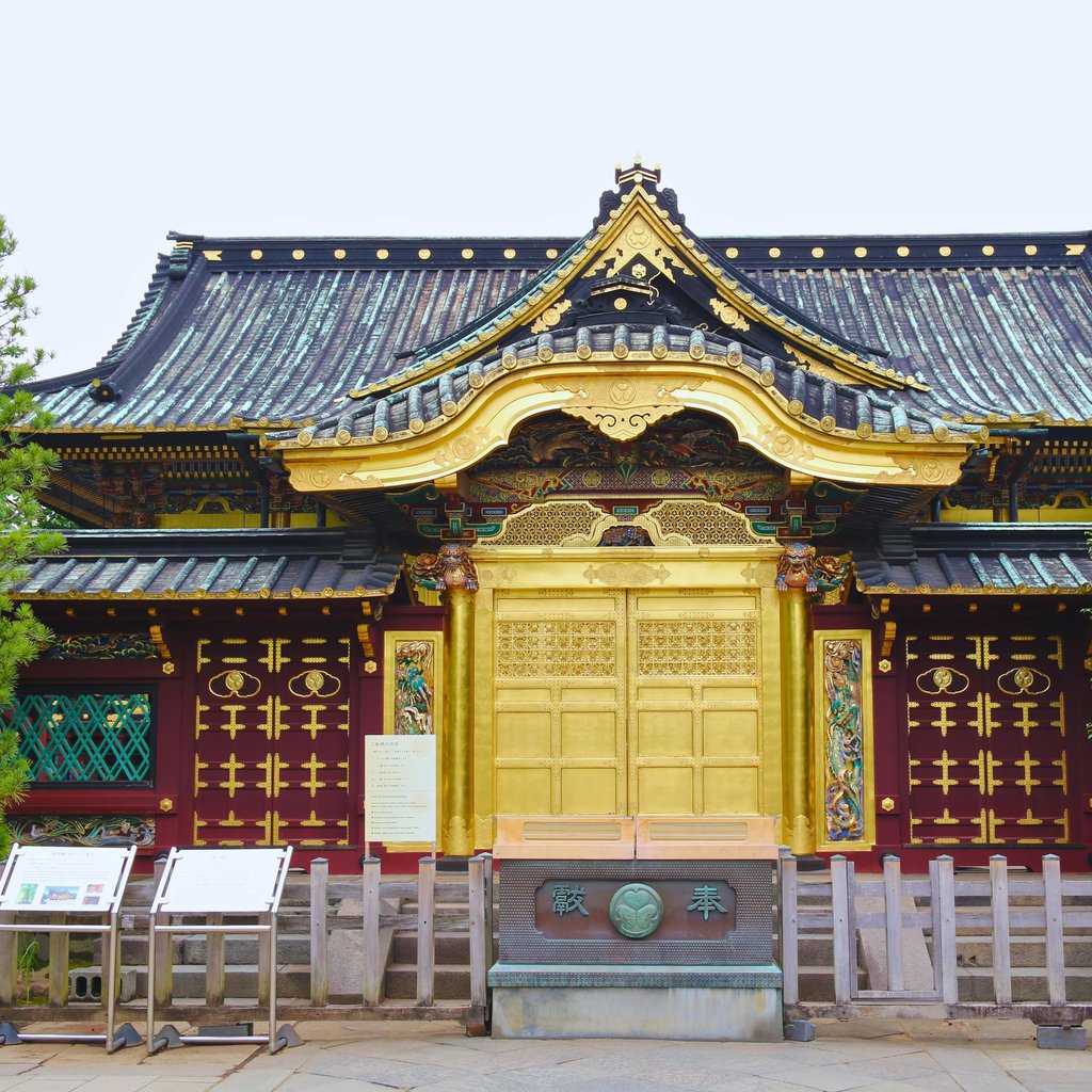 Front view of the historical Toshogu Shrine, a cultural landmark in Ueno Park, Tokyo, Japan.