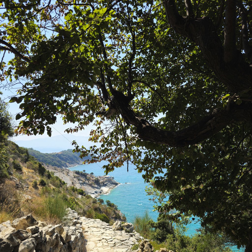 Beautiful coastal path in Vlorë, Albania with stunning sea views through lush greenery.