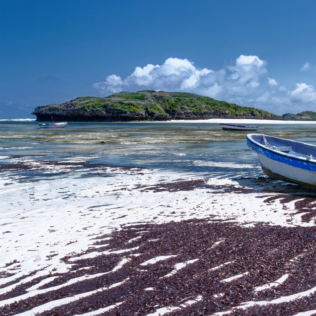Tranquil beach scene featuring a traditional boat on the shores of Watamu, Kenya.