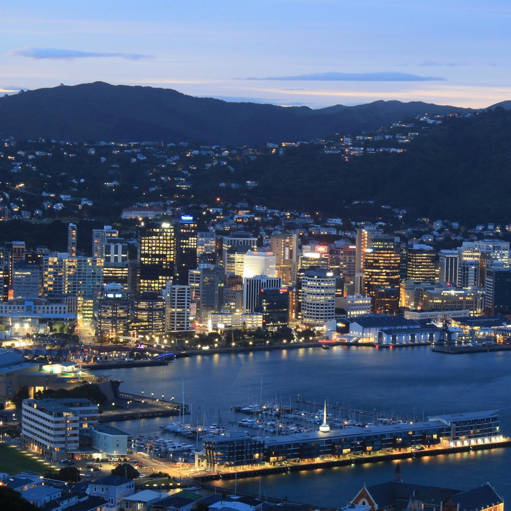 A striking evening aerial view of Wellington city skyline with vibrant lights reflecting on the waterfront.