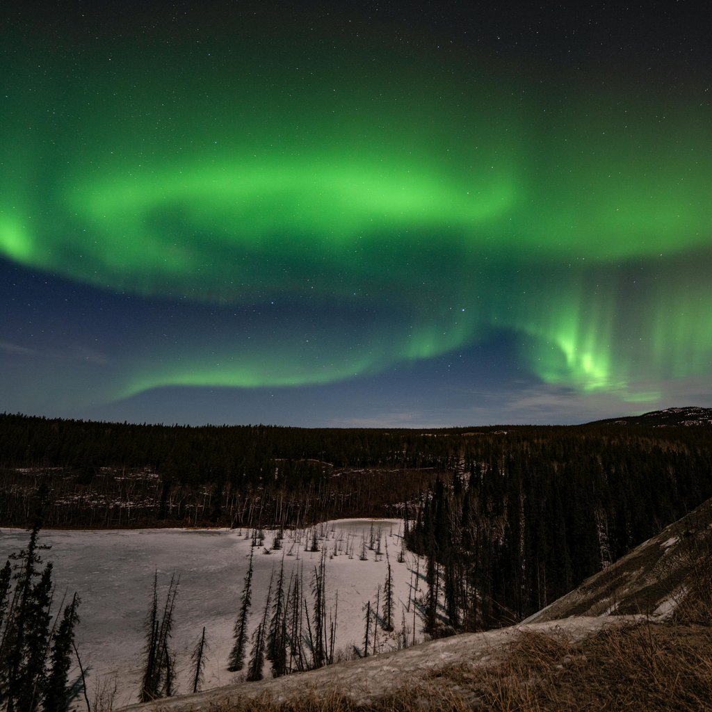 Capture the mesmerizing aurora borealis glowing brightly over Whitehorse, Yukon, Canada at night.