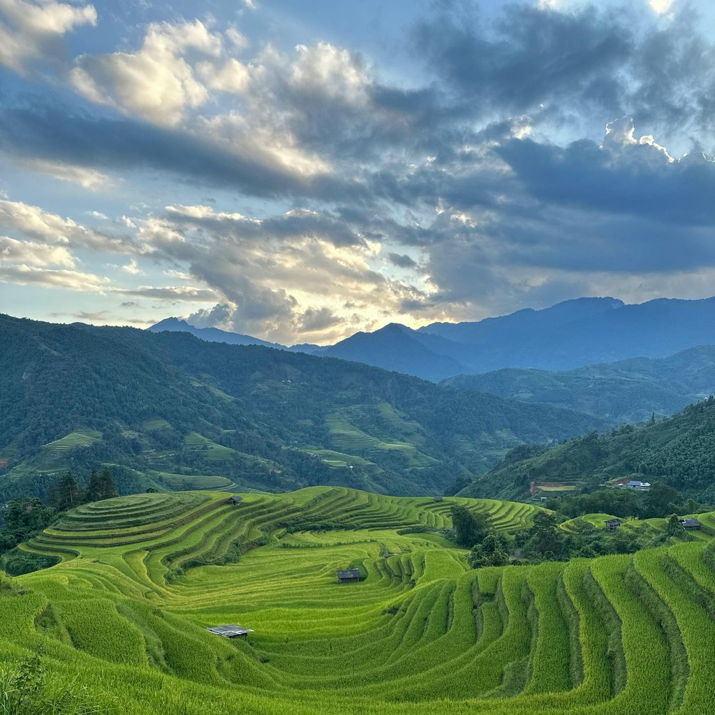 Stunning view of lush terraced rice fields with mountains in the background under a dramatic sunset sky.