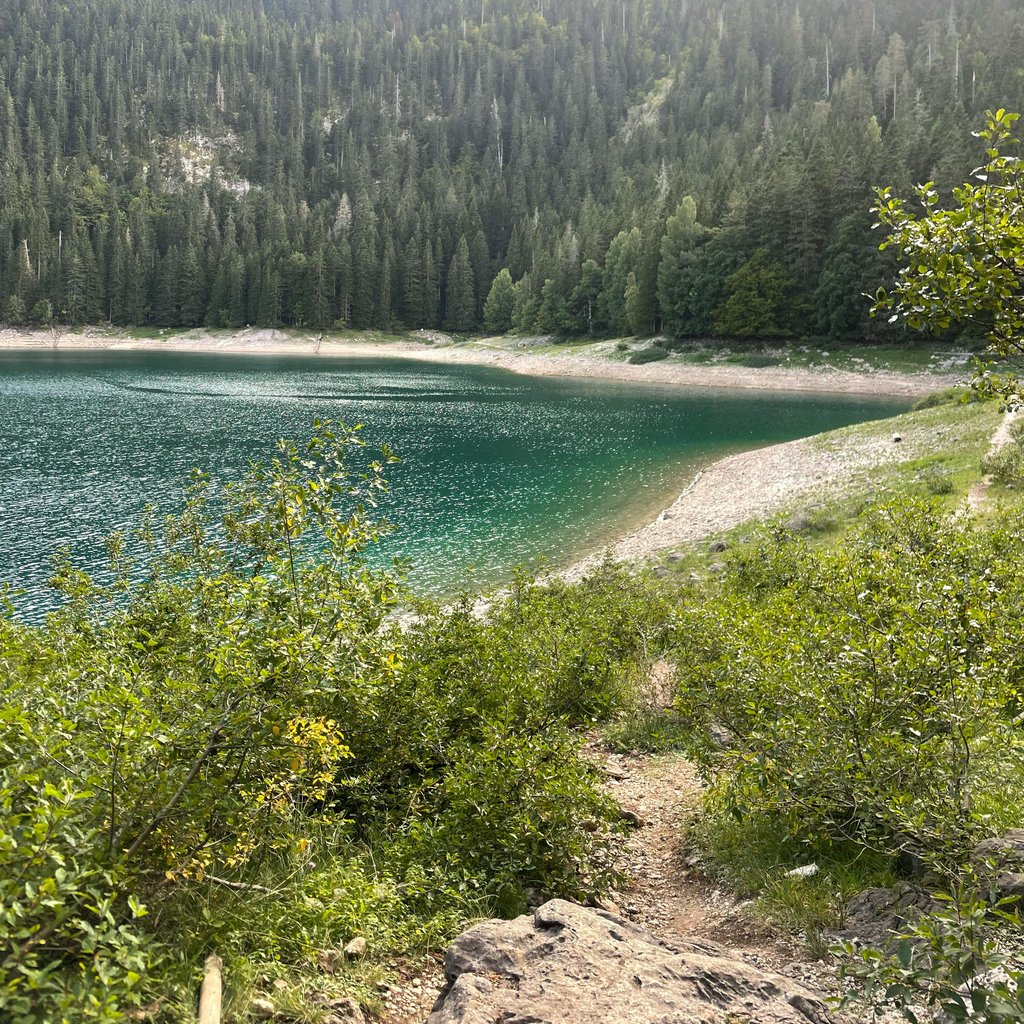 Stunning view of Black Lake surrounded by dense conifer forests in Žabljak, Montenegro.