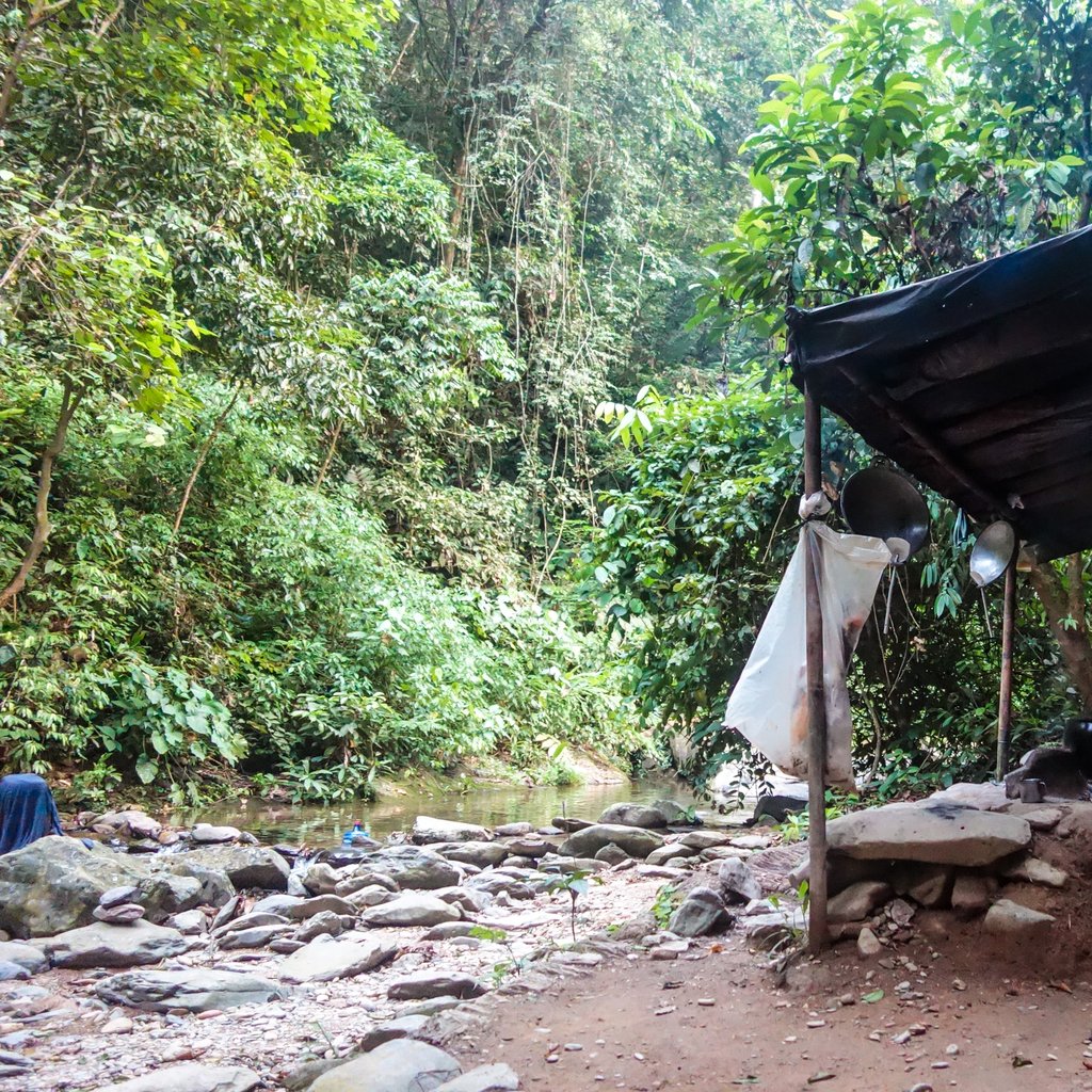 Indonesia - Bukit Lawang