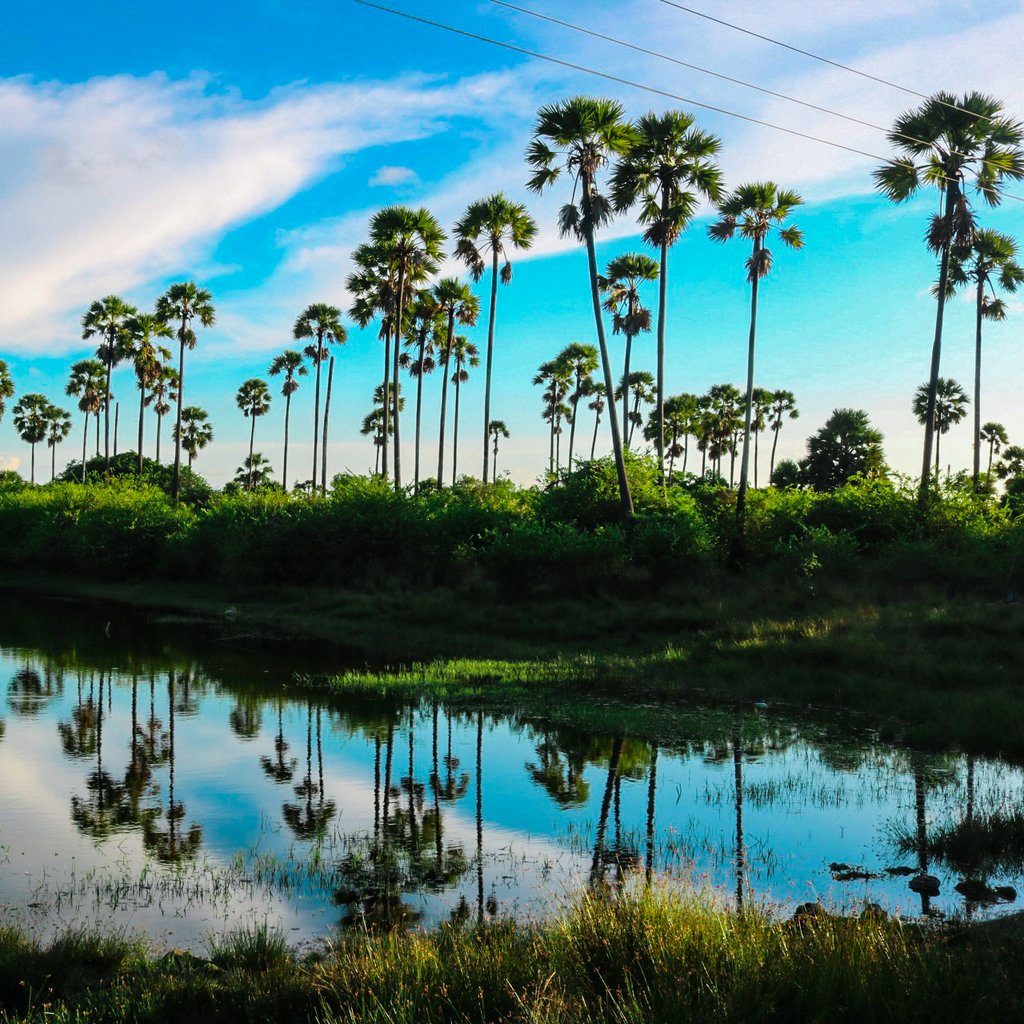 Sunset in jaffna srilanka
