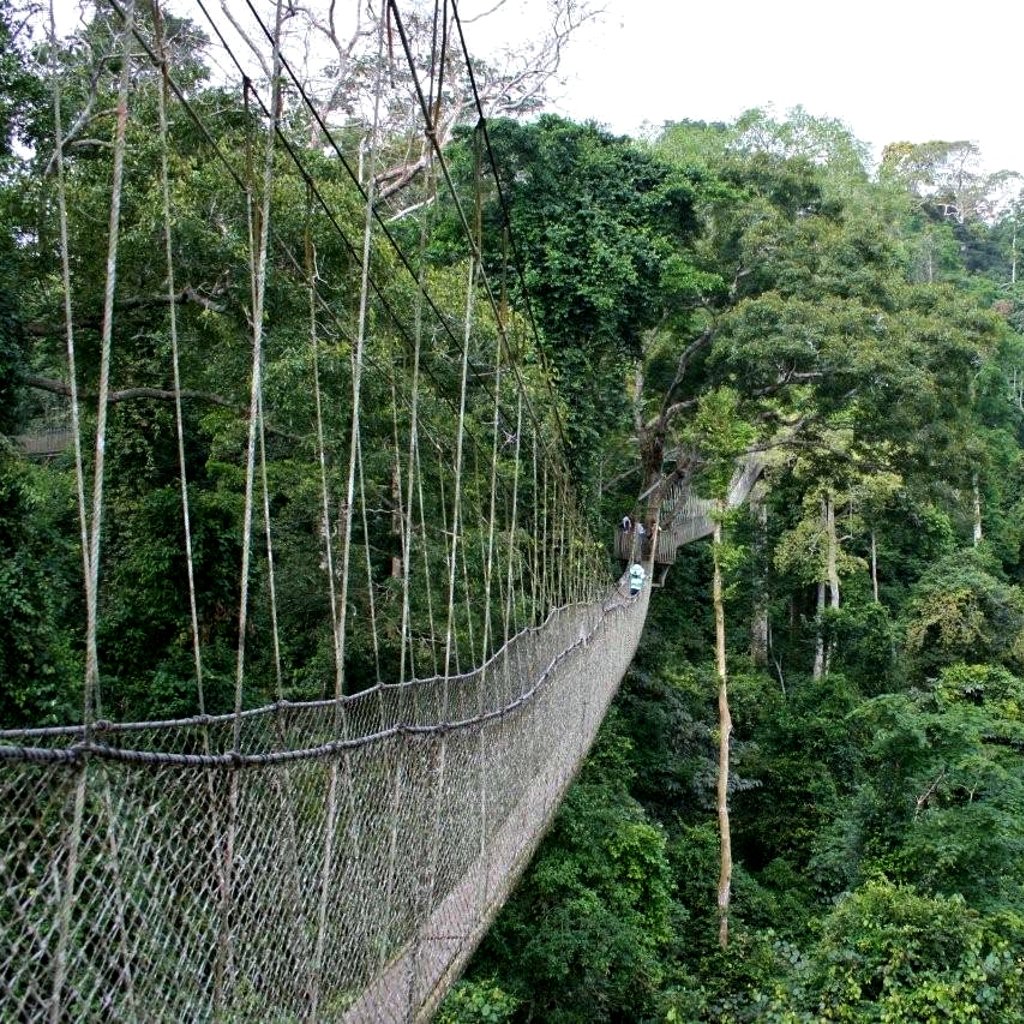 Kakum National Park - Kamum - Ghana
Dicembre 2006 - Chiappi Nicola