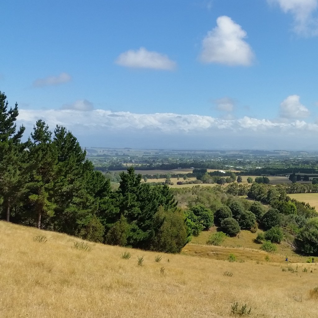 Photo of ]]Martinborough]] township in the w:Wairarapa from near the top of Rapaki Hill