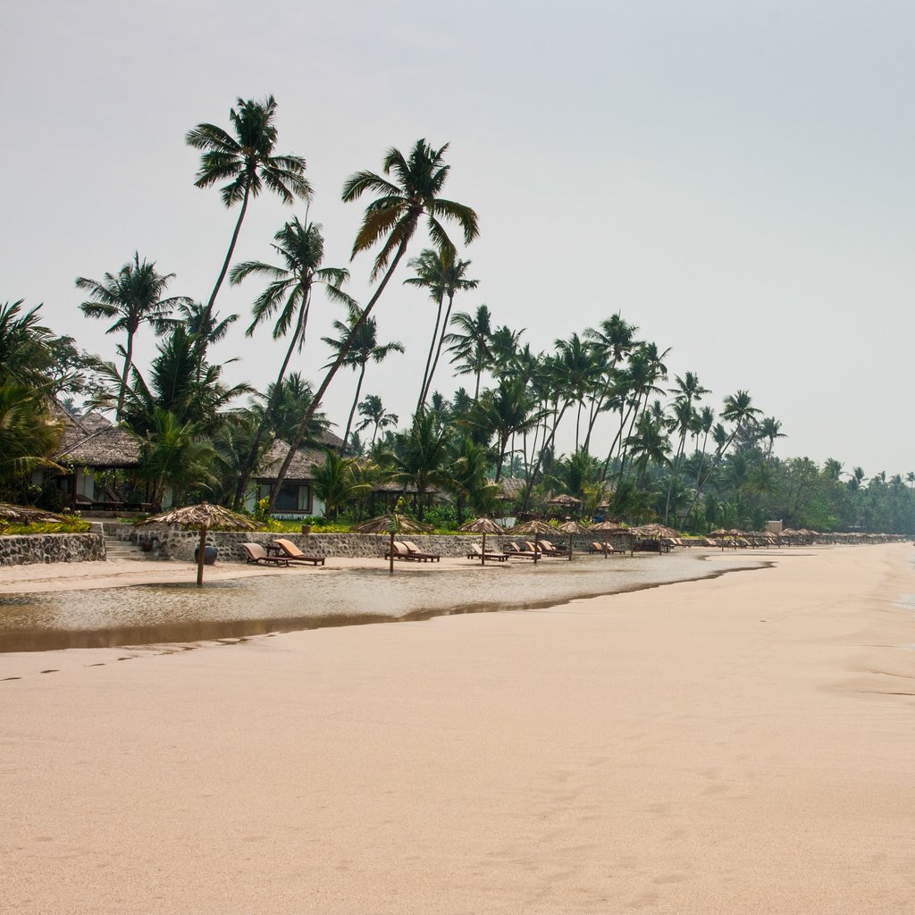 Palms and holiday chalets overlooking Ngapali Beach