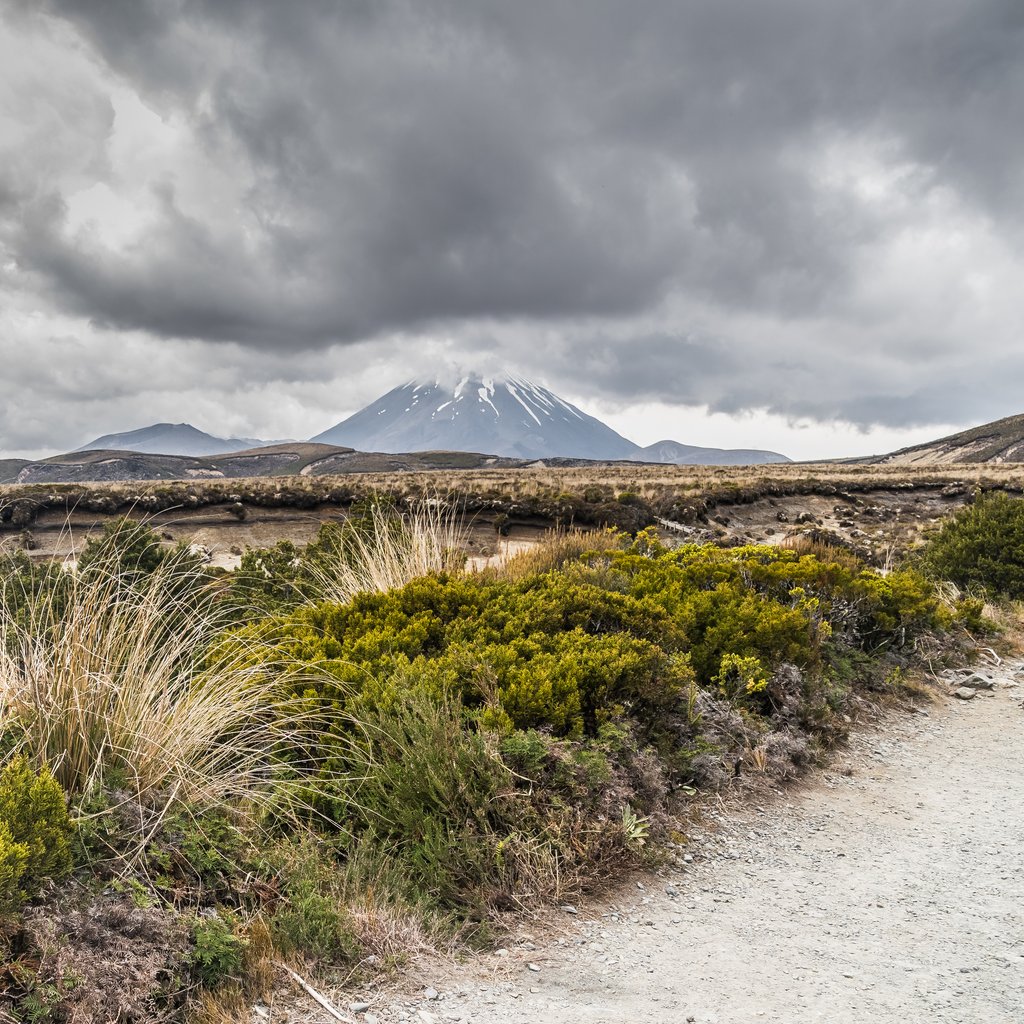 Landscape in Tongariro National Park in Manawatu-Wanganui Region, North Island of New Zealand