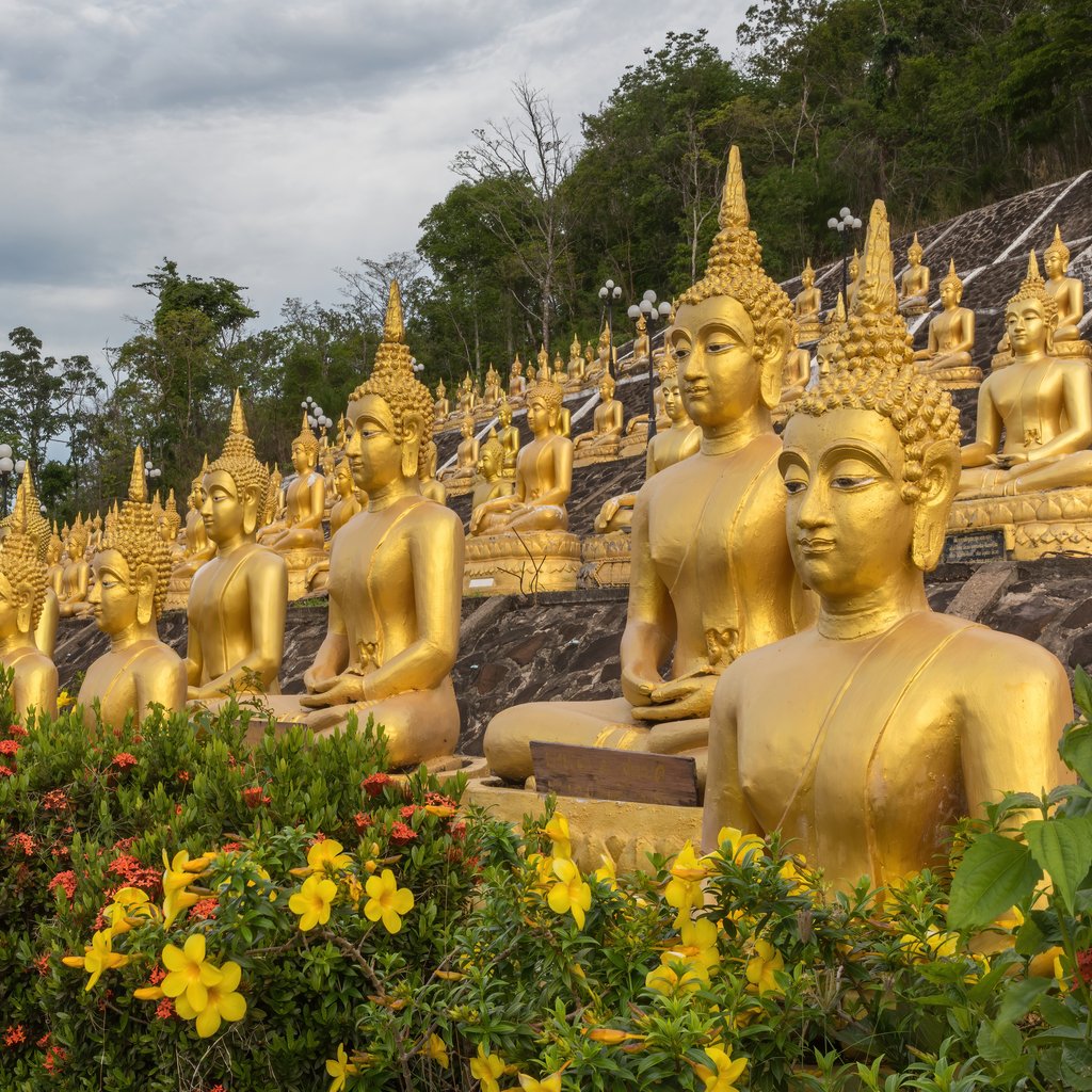Multiple rows of golden statues of the Buddha seated, with yellow and red flowers, at Wat Phou Salao (Golden Buddha temple), in Pakse, Laos.