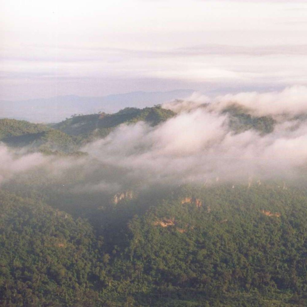 The Luak ridge (San Khao Luak, สันเขาลวก) of the Phetchabun mountains and the Sonthi river (ลำสนธิ) valley, as seen from the Sut Phaen Din (สุดแผ่นดิน) viewpoint of the Pa Hin Ngam National Park, Chaiyaphum province, Thailand. Photo taken in early morning, thus the clouds visible are morning fog.
Photo taken by User:Ahoerstemeier on July 14, 2003.