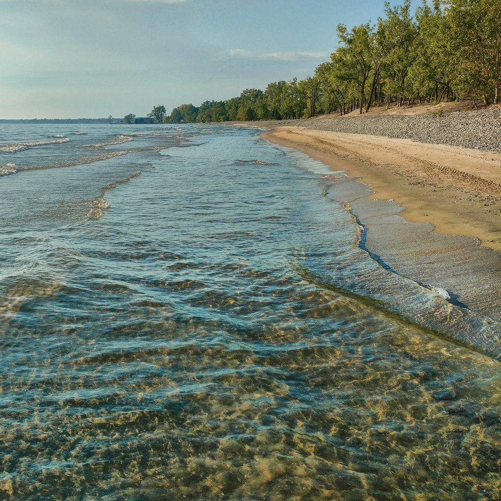 Prince Edward County beach.