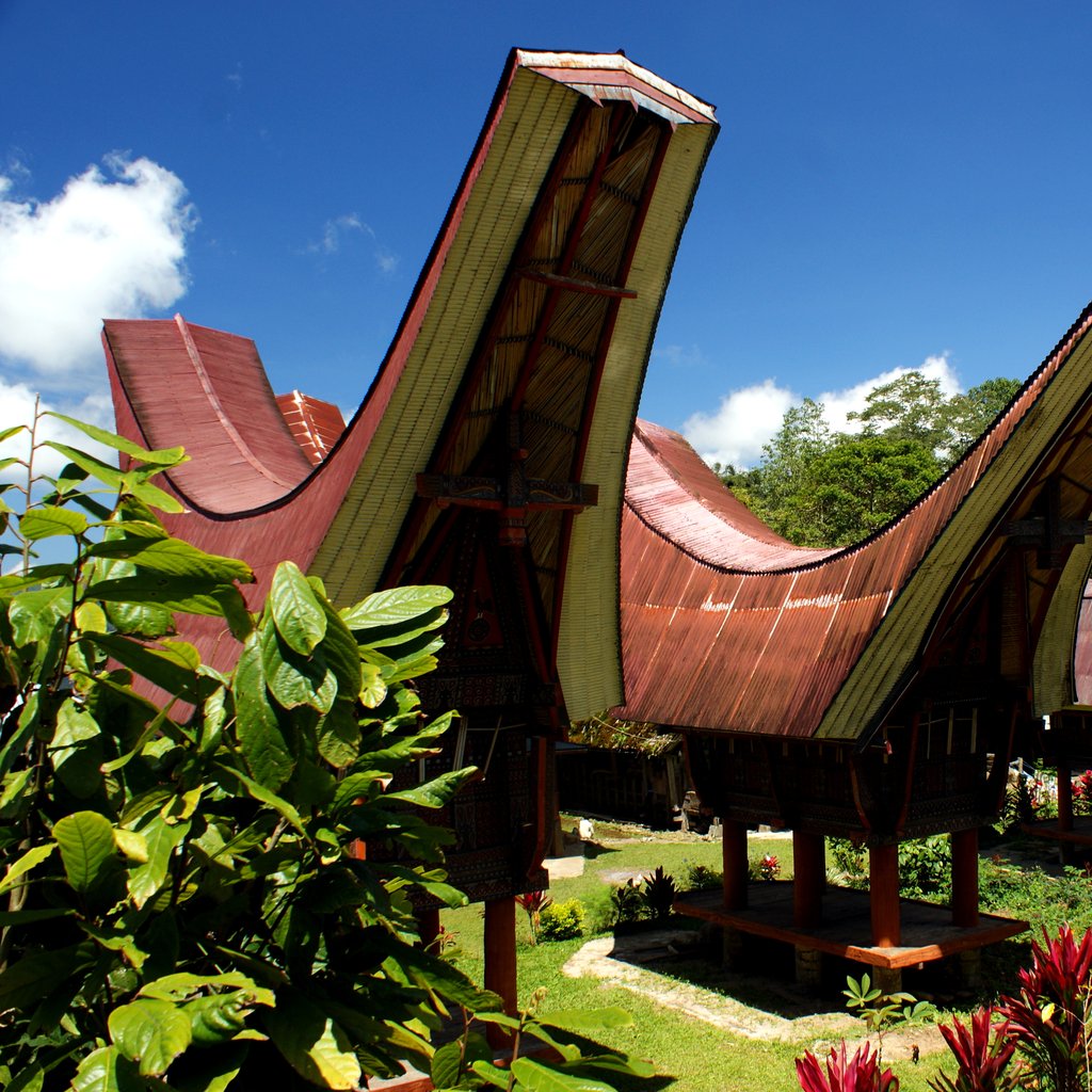 Traditional Houses in Tana Toraja Regency