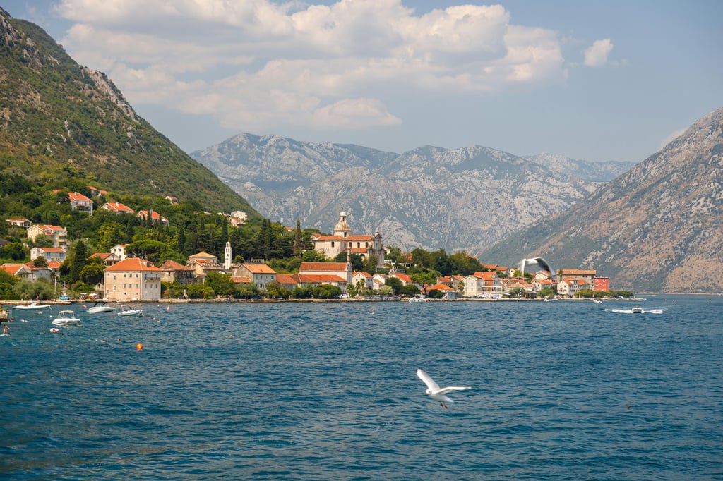 Image of Kotor