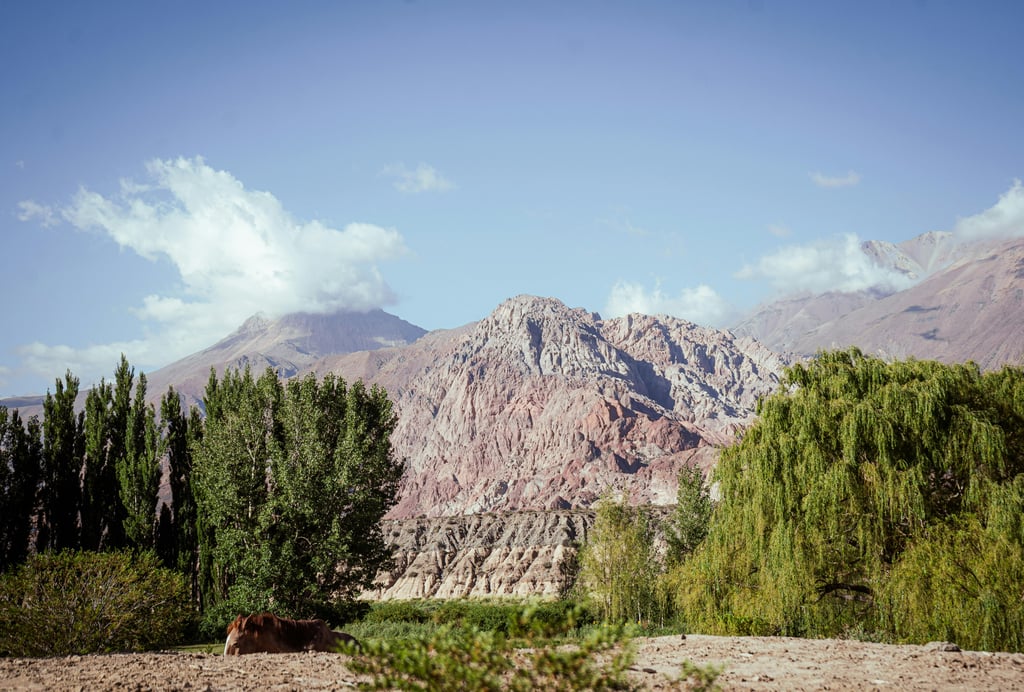 Image of Mendoza