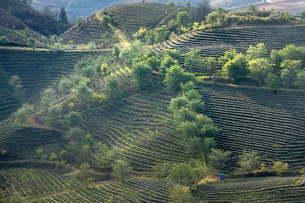 Image of Pinhão (Douro Valley)