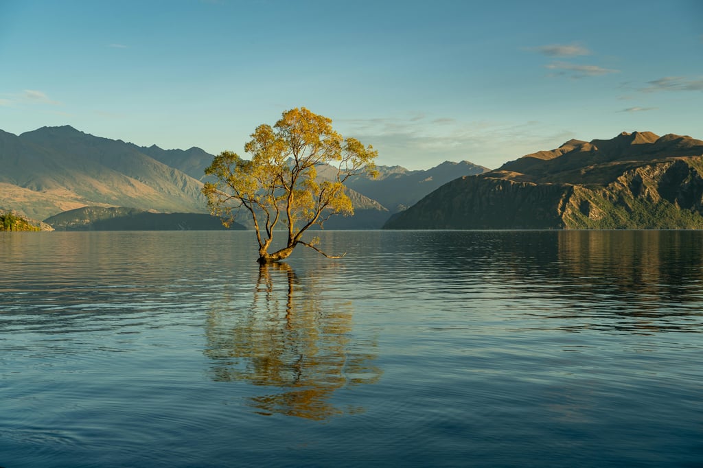 Image of Wanaka