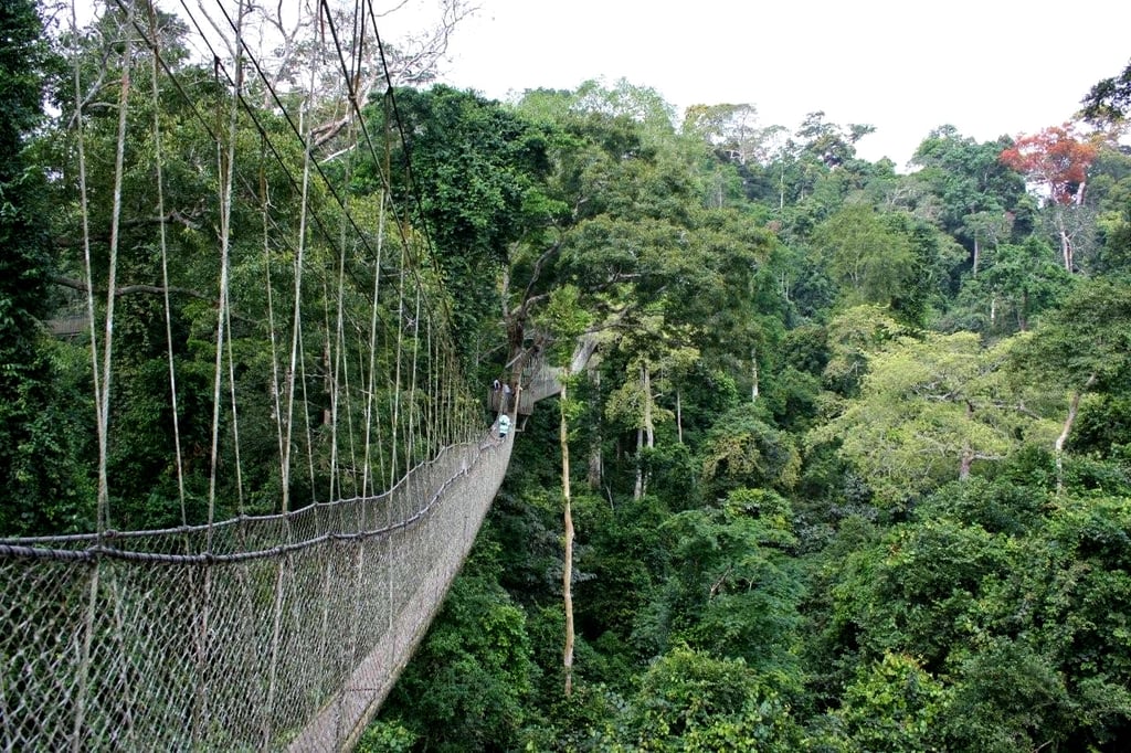 Image of Kakum National Park