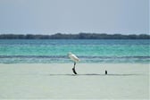 Isla Holbox photo