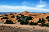 Merzouga photo