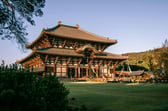 Nara photo