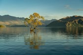 Wanaka photo