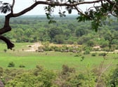 Mole National Park photo