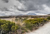 Ohakune (Tongariro National Park area) photo