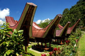 Tana Toraja photo