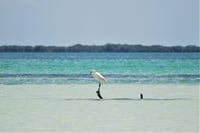 Isla Holbox photo