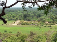 Mole National Park photo