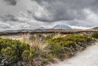 Ohakune (Tongariro National Park area) photo